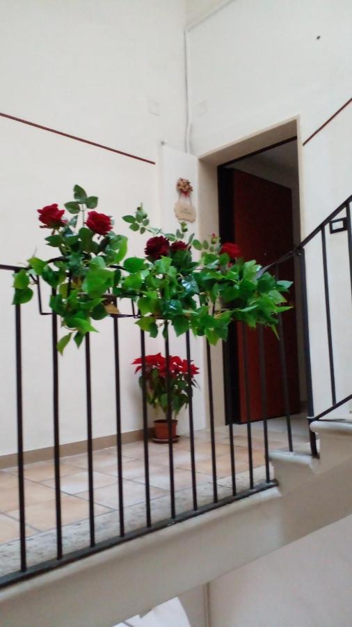 La Rosa Rossa Hotel Bari Exterior photo